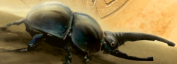 250px-Scarabax_Beetle.PNG