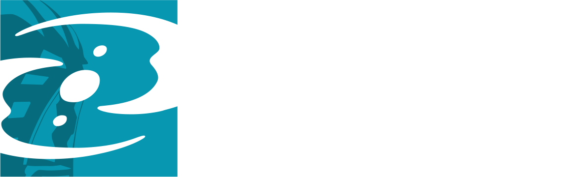 BS01 Wiki